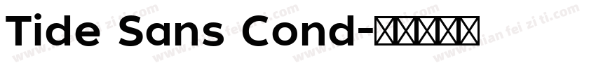 Tide Sans Cond字体转换